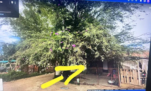 Imagen de Taller De Bicicletas Escobar