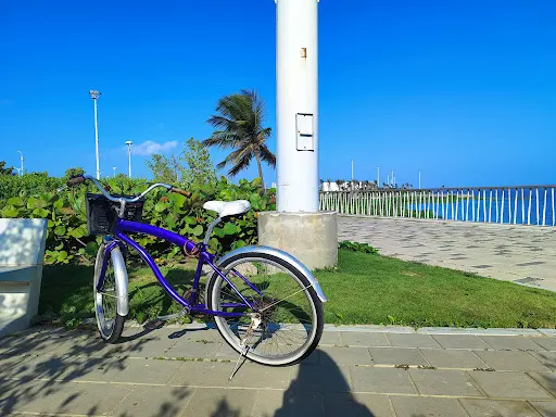Imagen de Taller De Bicicletas Martín Castellón