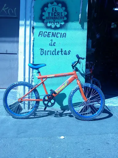 Foto de Tigerbikes, taller de bicicletas en La Ermita