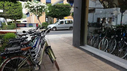 Imagen de Valencia Electric Bikes
