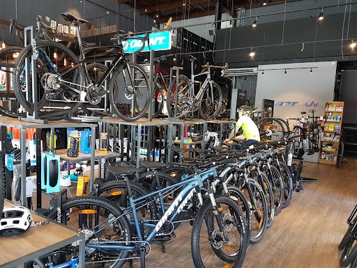 Taller de bicicletas Velocup