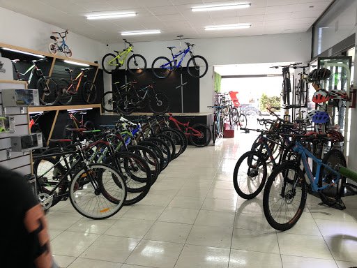 Taller de bicicletas Lizardi Bikes