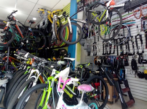 Taller de bicicletas Bicicletas Alberto bailon