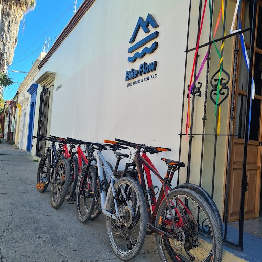Taller de bicicletas Bike Flow Oaxaca
