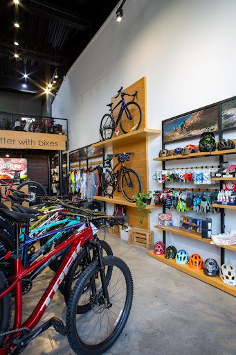 Taller de bicicletas Biketribe