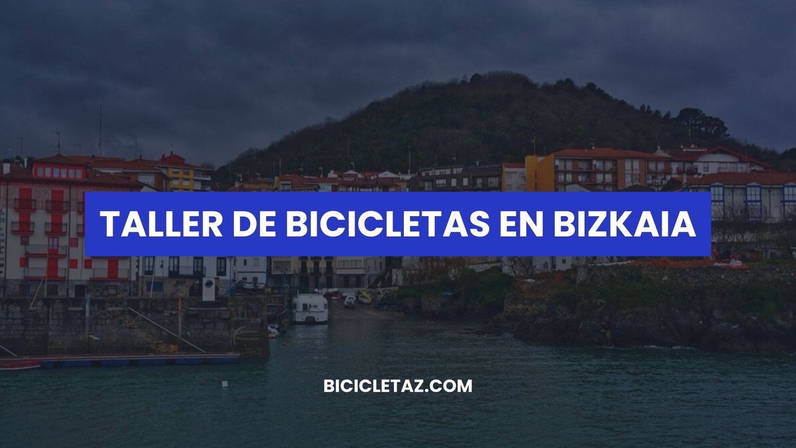 taller de bicicletas Bizkaia españa